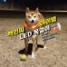 썸네일(스크롤)