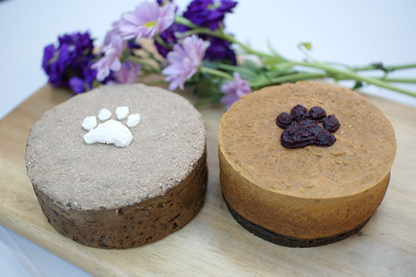 페오펫몰,봉봉맘 강아지생일파티세트(케익+미역국) 캥거루고구마케익/블루베리치즈케익 2종 선택, 황태미역국/소고기미역국 2종 선택 강아지생일파티세트 강아지생일