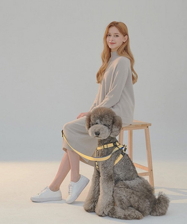 페오펫몰,[SPEL] 스펠 항공 TY하네스 단품 BEIGE