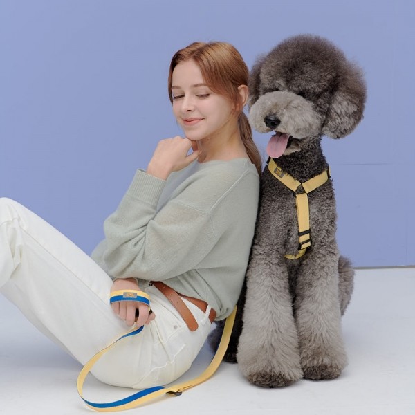 페오펫몰,[SPEL] 스펠 항공 TY하네스 단품 BEIGE