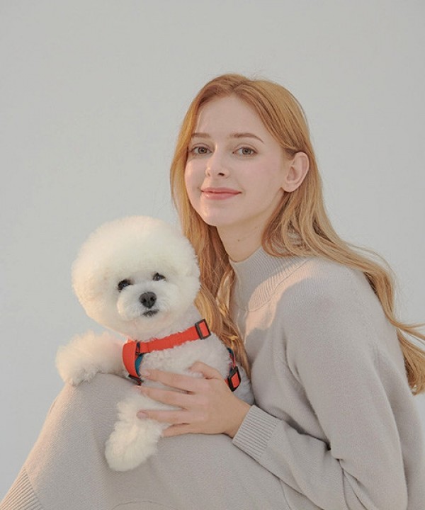 페오펫몰,[SPEL] 스펠 항공 TY리드줄 단품 BEIGE