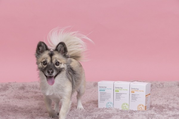 페오펫몰,[큐어바이케어] 코어 서플리 포 펫 조인트 (관절) 30개입