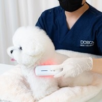 향내음 두카메디 동물용의료기기 셀케어 드라마 LED