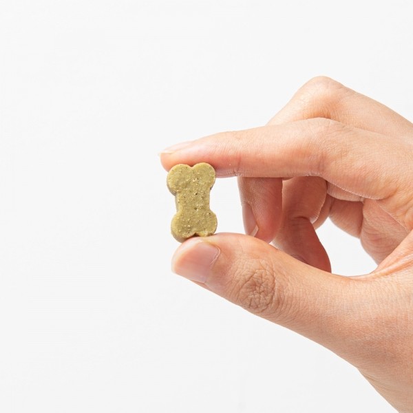 페오펫몰,[팻케어유니온] 추석 특별 이벤트 강아지 심장 튼튼 영양제 스트롱하트 2+1