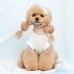 썸네일(스크롤)