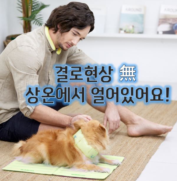 [여름맞이특가]icicool 아이시쿨 매트 결로현상X 휴대가 간편! 상온에서 얼어있는 신개념 쿨링매트 ver.2
