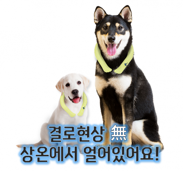 페오펫몰,[여름맞이특가]★24 색상 출시 이벤트★ 반값 50 % 할인 icicool 아이시쿨 펫 넥밴드 결로현상X 휴대가 간편! 상온에서 얼어있는 신개념 쿨링 펫 넥밴드 (다양한 색상 출시!) ver3.