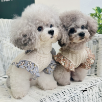 [패션독]애견의류,강아지옷,강아지가을옷,강아지패션,강아지니트,강아지티셔츠,클리오니트티