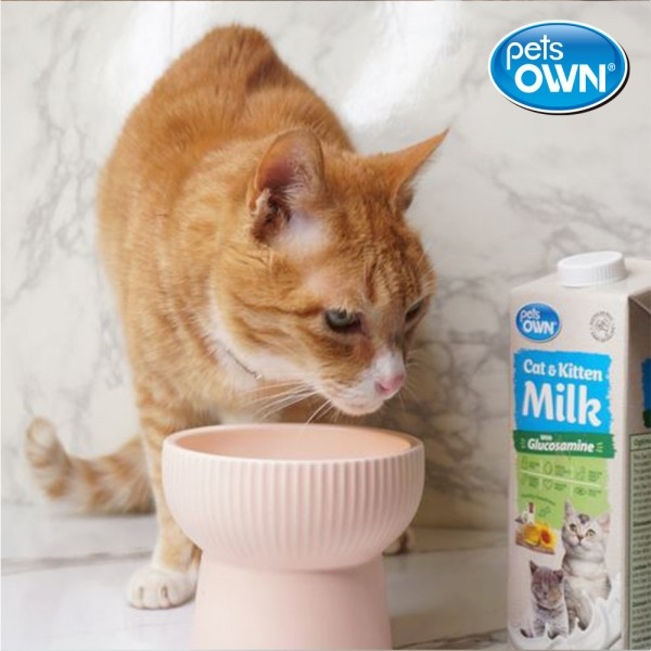 페오펫몰,[설날특가] 펫츠온 호주 프리미엄 펫밀크 1Lx8팩 캣앤키튼 글루코사민 고양이 멸균우유/7차신규입고