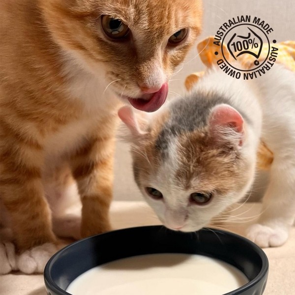 페오펫몰,[설날특가] 펫츠온 호주 프리미엄 펫밀크 1Lx8팩 캣앤키튼 글루코사민 고양이 멸균우유/7차신규입고