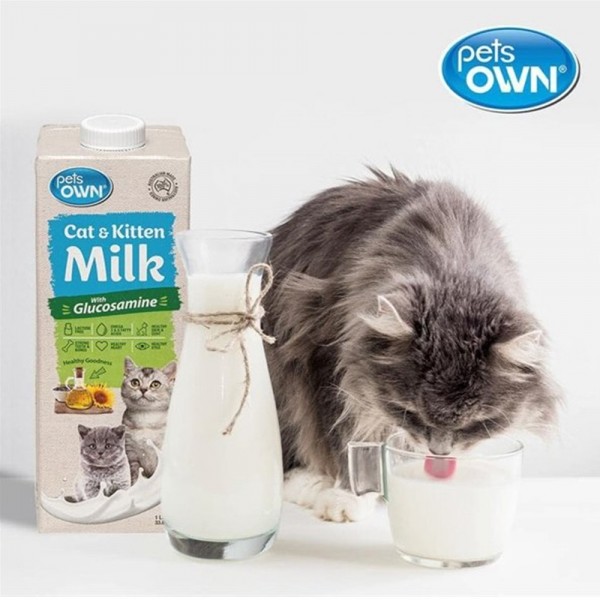 페오펫몰,[설날특가] 펫츠온 호주 프리미엄 펫밀크 1Lx8팩 캣앤키튼 글루코사민 고양이 멸균우유/7차신규입고