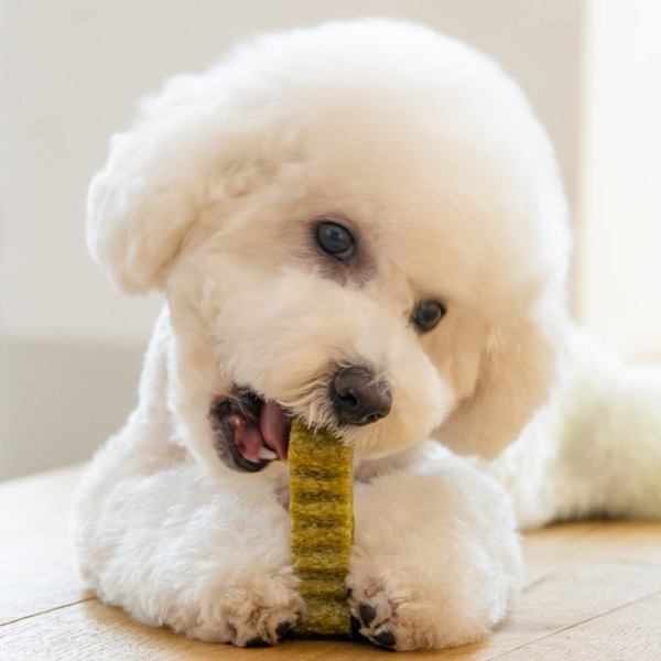 페오펫몰,[핏펫][설날특가]잇츄 오리지널 강아지 덴탈껌 특대용량 M 57개입 (옐로우/그린/브라운/꿀잠츄)