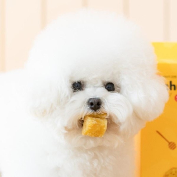 페오펫몰,[핏펫] 잇츄 오리지널 S 10개입 (옐로우/그린/브라운/꿀잠츄)