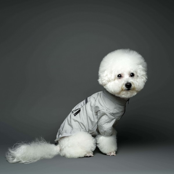 페오펫몰,반집업 아노락 실버