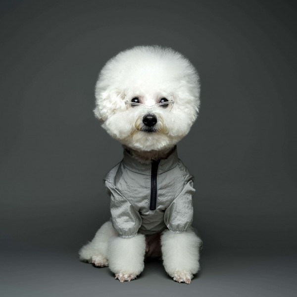 페오펫몰,반집업 아노락 실버