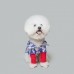 썸네일(스크롤)