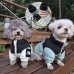썸네일(스크롤)