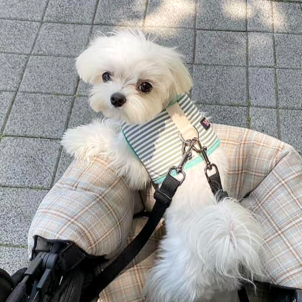 페오펫몰,[오플] 스윗테일 핸드메이드 스트라이프 강아지하네스 XL