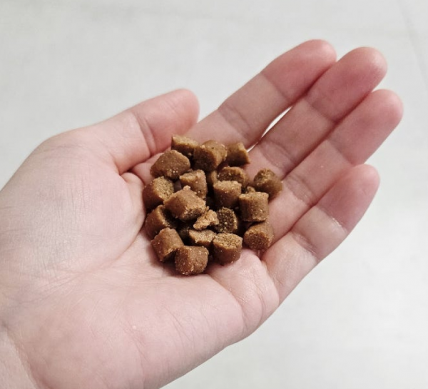 페오펫몰,[스페푸] 생육부심 소프트사료 1kg 소고기+황태 x 2