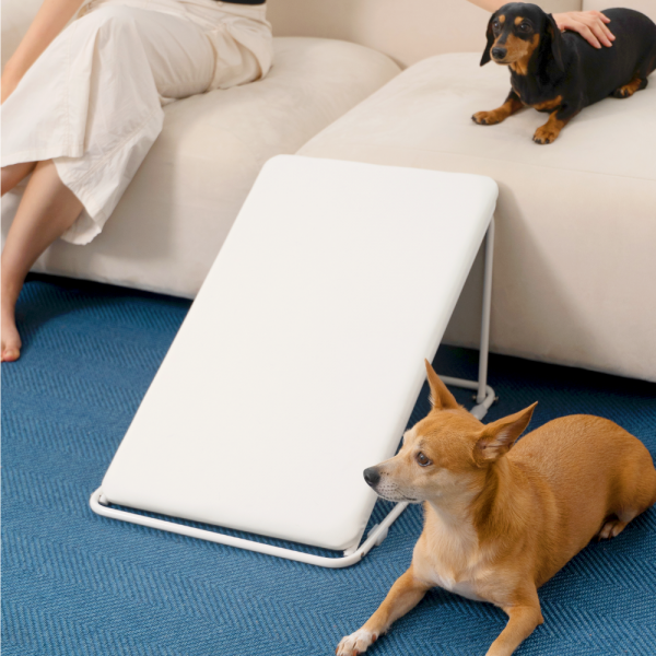 페오펫몰,바크하우스 폴드 슬라이드 스텝 (2가지 색상)