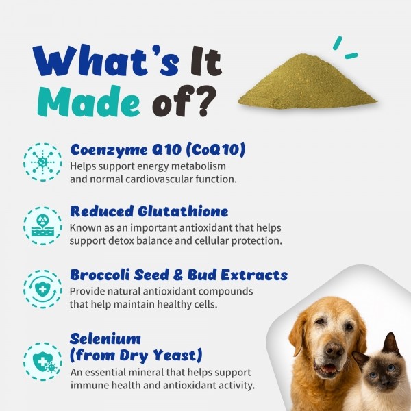 페오펫몰,브랜바인 에이티비 셀벳 강아지 고양이 면역 종양 지원 천연강심제