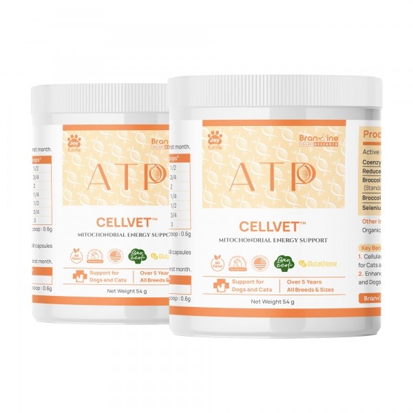 페오펫몰,브랜바인 에이티비 셀벳 강아지 고양이 면역 종양 지원 천연강심제
