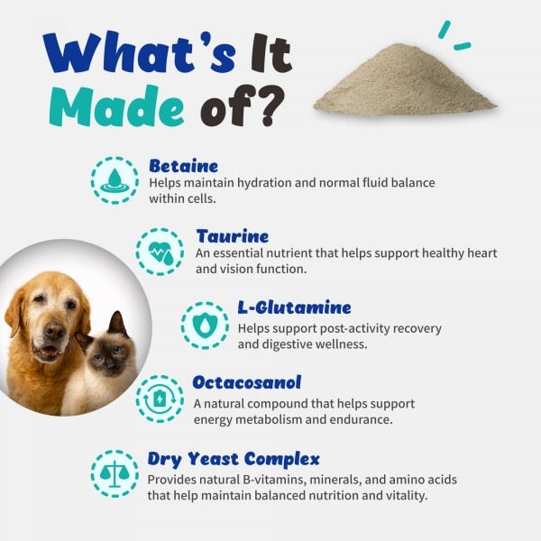 페오펫몰,브랜바인 일렉트로라이트 셀벳 강아지 고양이 활력 피로회복 탈수 완화 전해질 보충