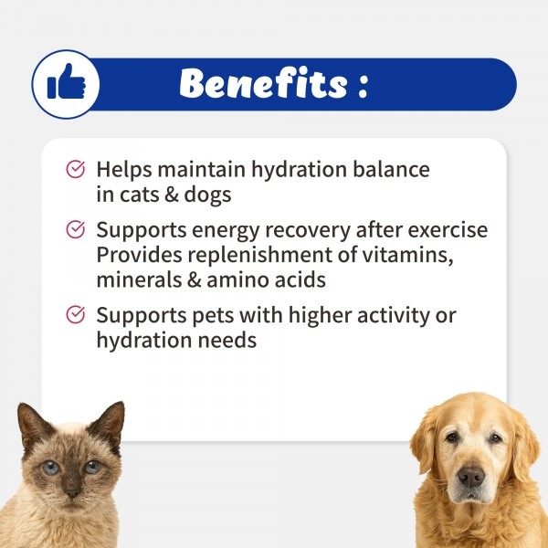페오펫몰,브랜바인 일렉트로라이트 셀벳 강아지 고양이 활력 피로회복 탈수 완화 전해질 보충