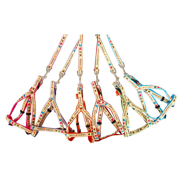 페오펫몰,[펫츠컴퍼니] 조이 하네스세트 20mm (색상랜덤) [반려동물]