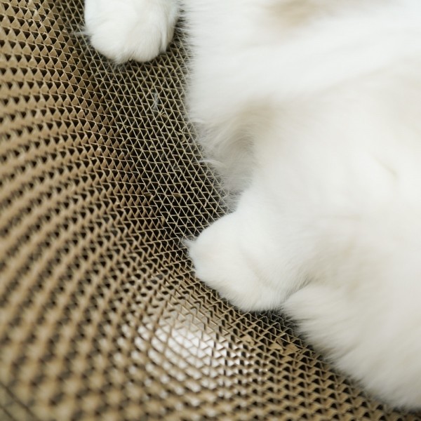 페오펫몰,개과천선 어몽드 커비온 고양이 스크래쳐