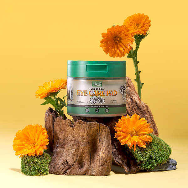 페오펫몰,[허레이][설날특가] 프로 아이+이어케어 패드SET