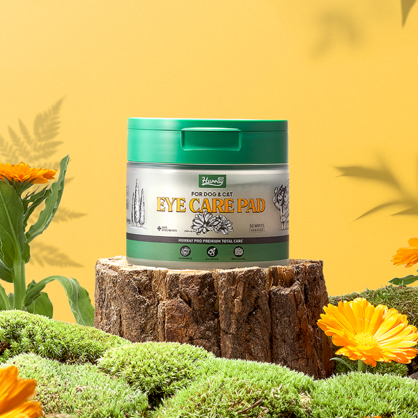 페오펫몰,[허레이][설날특가] 프로 아이+이어케어 패드SET