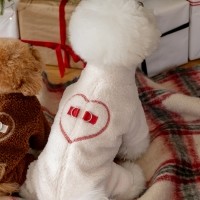 스캠퍼 하트 클라우드 올인원 [바닐라]