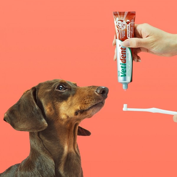 페오펫몰,[허레이][꽃길특가] 프로 베티덴트 치약 사과향+참치향 2개 SET 바르는 겔제형