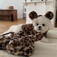 [멤버십 비밀가격][코코아허니] 곰돌이호피하네스자켓 [최저가]