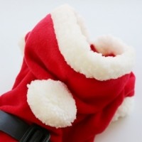 [멤버십 비밀가격][코코아허니] 산타후드티 [최저가]