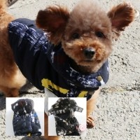 [멤버십 비밀가격][코코아허니] 패턴패딩 [최저가]