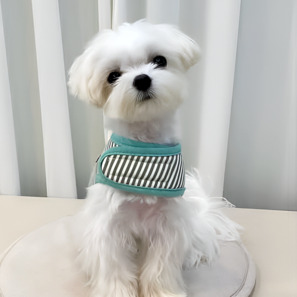 [스윗테일][설날특가] 핸드메이드 강아지 스트라이프 하네스 L[반려동물]