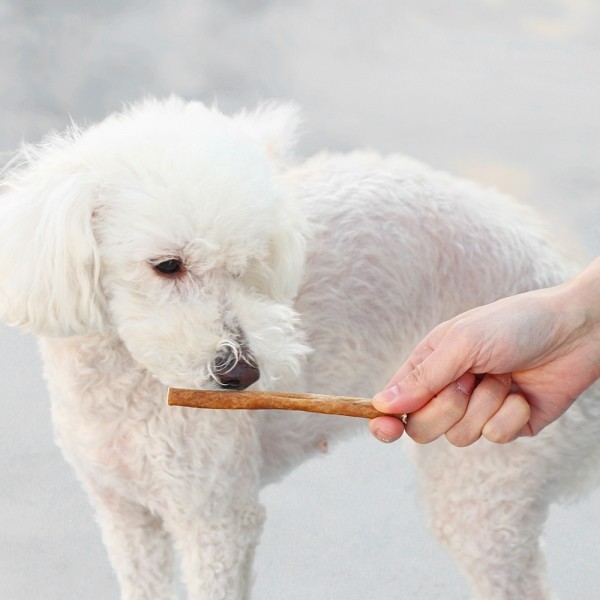 페오펫몰,[오래오래프로젝트] 깨끗한육포 오래먹는 낙타 식도근스틱 200g