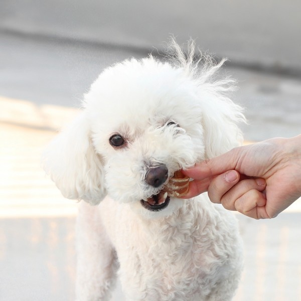 페오펫몰,[오래오래프로젝트] 깨끗한육포 쫄깃 낙타 울대링 60g