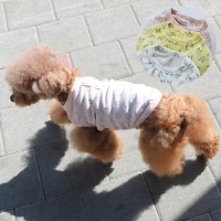 [멤버십 비밀가격][코코아허니] 토끼단추티 [최저가]