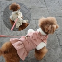 [멤버십 비밀가격][코코아허니] 왕리본프릴하네스점퍼 [최저가]