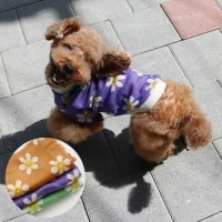 [멤버십 비밀가격][코코아허니] 빙그레꽃니트 [최저가]