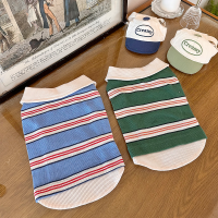 [고퀄리티]국내제작 매일 입어도 질리지 않는 데일리PK카라티