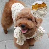 [멤버십 비밀가격][코코아허니] 앵두프릴티 [최저가]