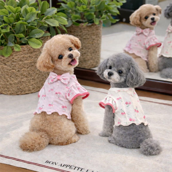 [고퀄리티]국내제작 리본 러플 반팔 티셔츠 체리블러썸티