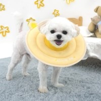 [멤버십 비밀가격][패리스독] 베어스폰지넥카라 [최저가]