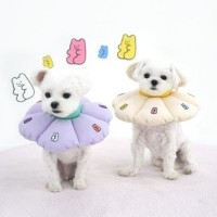 [멤버십 비밀가격][패리스독] 젤리베어넥카라 [최저가]