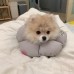 썸네일(스크롤)