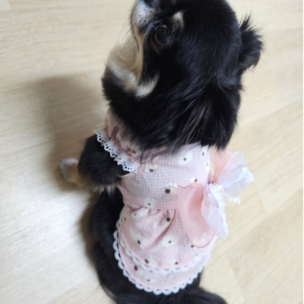 페오펫몰,플로피이얼스[꽃길특가]핑크데이지 엘라스틱 드레스